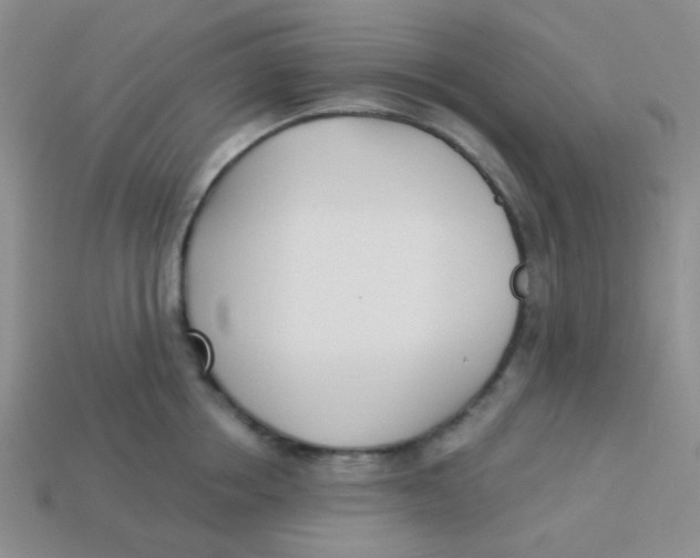 X0000113360858200910131259