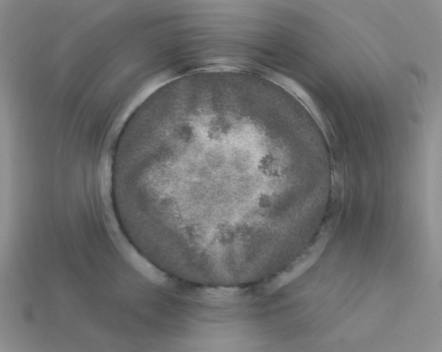 X0000113360859200910131259