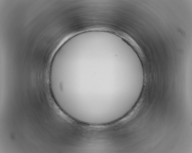 X0000113360860200910131259