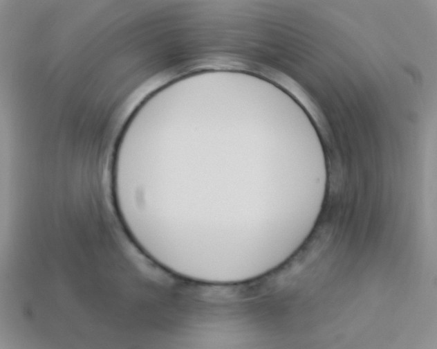 X0000113360861200910131259