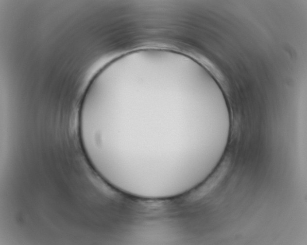 X0000113360862200910131259