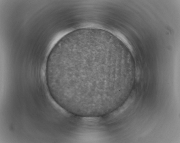 X0000113360863200910131259