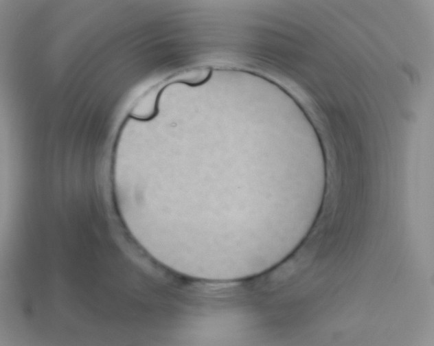 X0000113360864200910131259