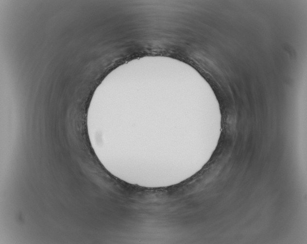 X0000113360865200910131258