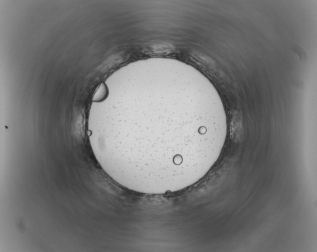 X0000113360866200910131258