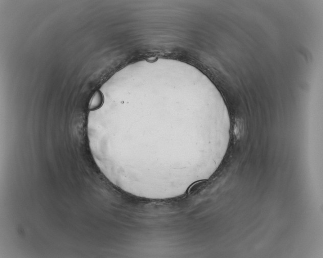 X0000113360867200910131258