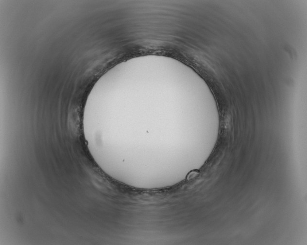 X0000113360868200910131258