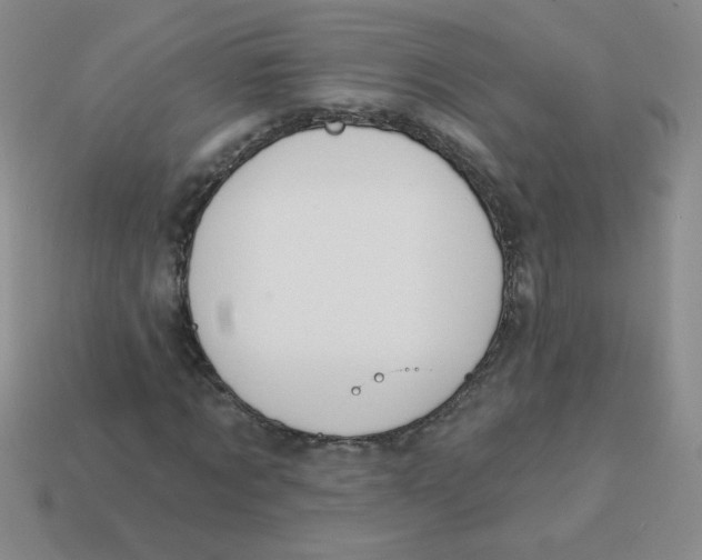 X0000113360869200910131258