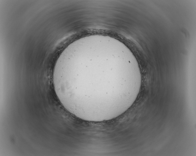 X0000113360870200910131258