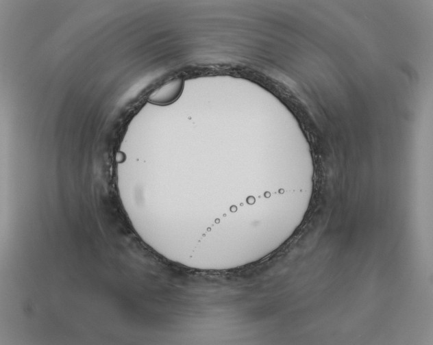 X0000113360871200910131258
