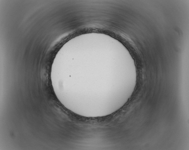 X0000113360872200910131258