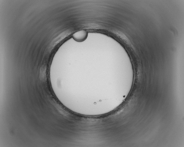 X0000113360873200910131258