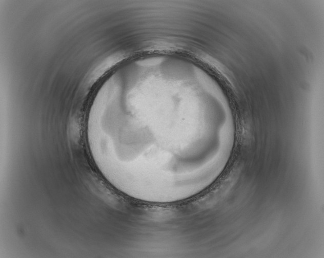 X0000113360874200910131258