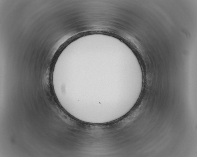 X0000113360875200910131258