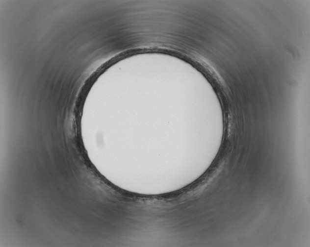 X0000113360876200910131258