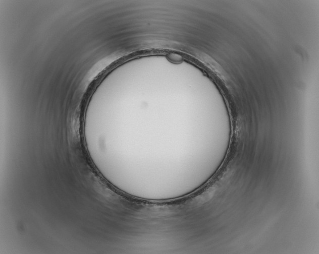 X0000113360877200910131258