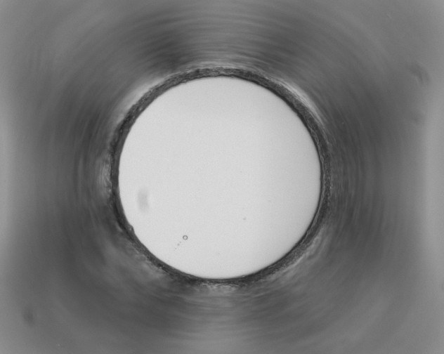 X0000113360878200910131258