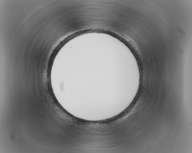 X0000113360880200910131258