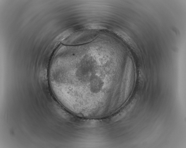 X0000113360881200910131258