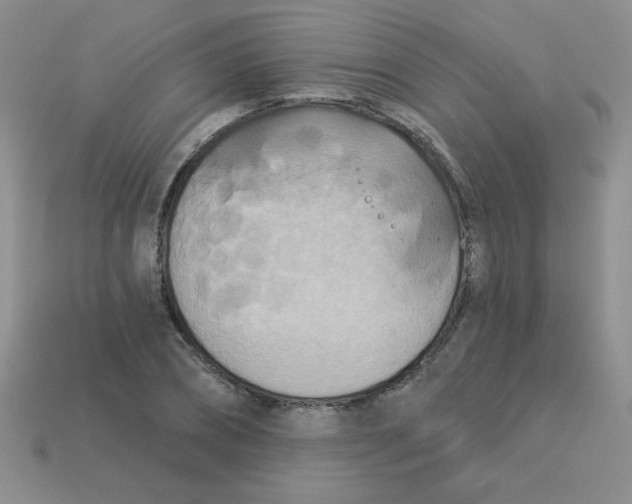 X0000113360882200910131258