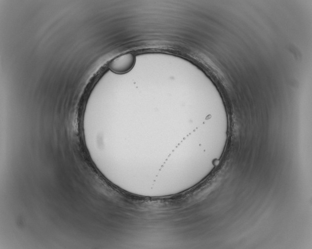 X0000113360883200910131258