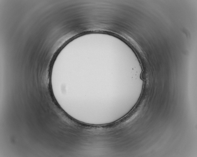 X0000113360885200910131258