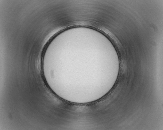 X0000113360886200910131258