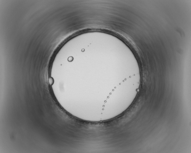 X0000113360887200910131258