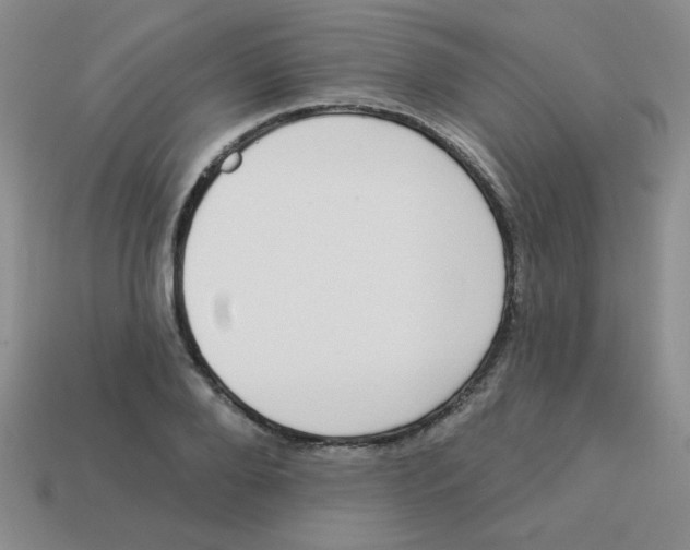 X0000113360888200910131258