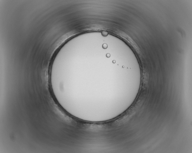 X0000113360890200910131258
