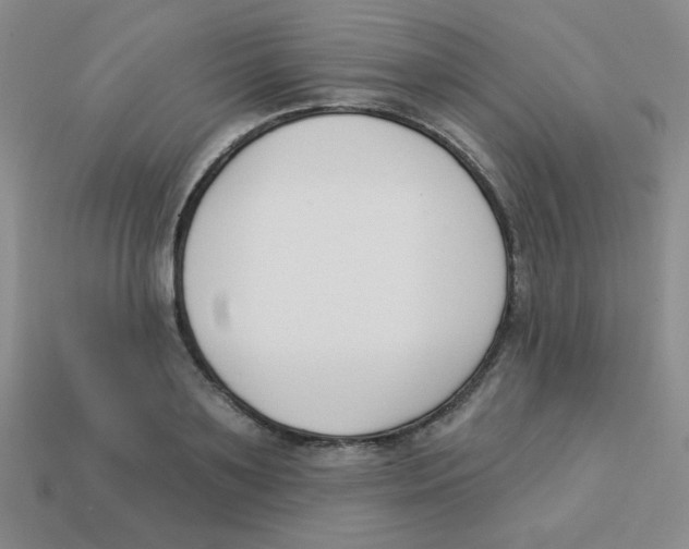 X0000113360891200910131258