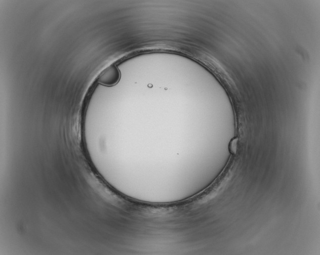 X0000113360892200910131258