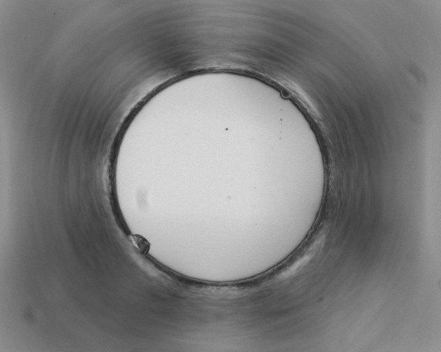 X0000113360893200910131258