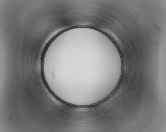 X0000113360894200910131258