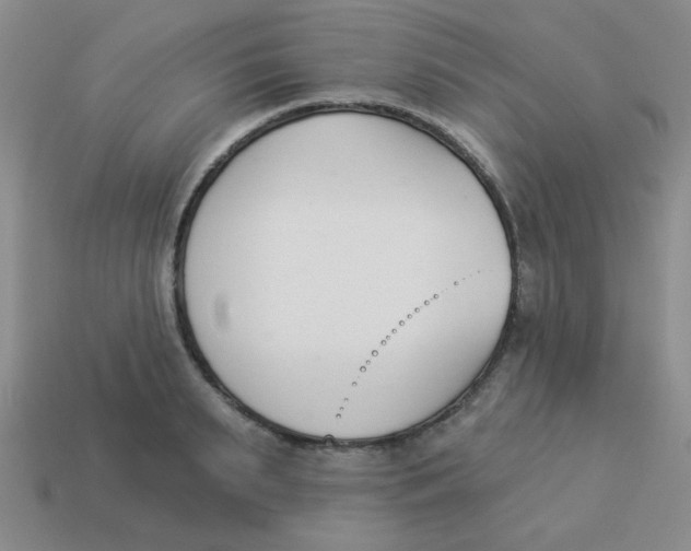 X0000113360895200910131258