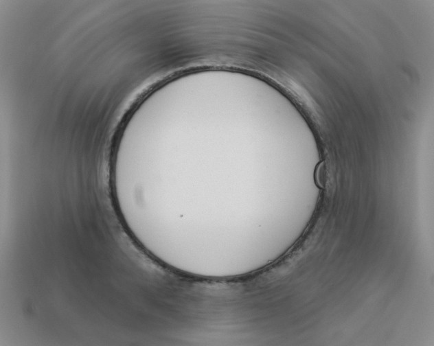 X0000113360896200910131258