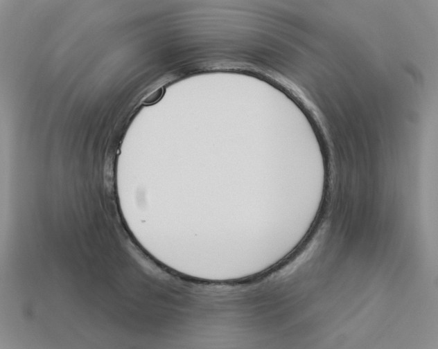 X0000113360897200910131258