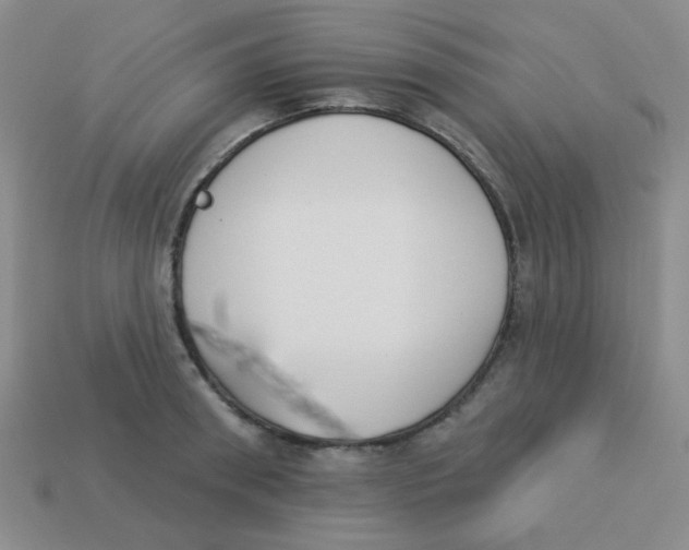 X0000113360898200910131258