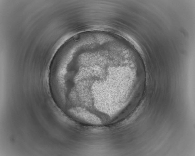 X0000113360899200910131258