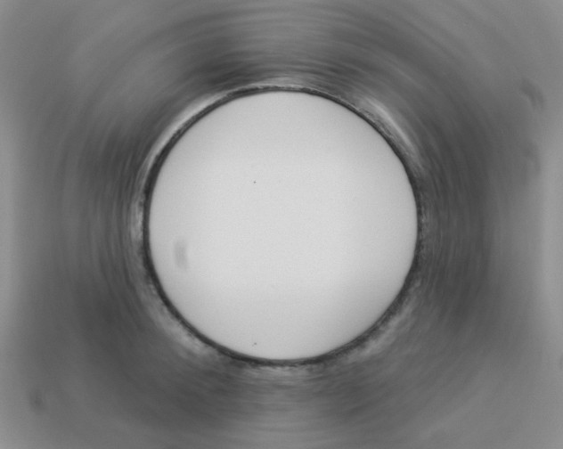 X0000113360900200910131258