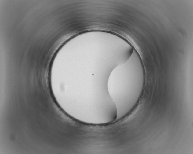 X0000113360901200910131258