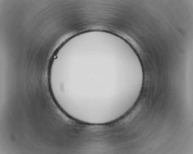 X0000113360902200910131258