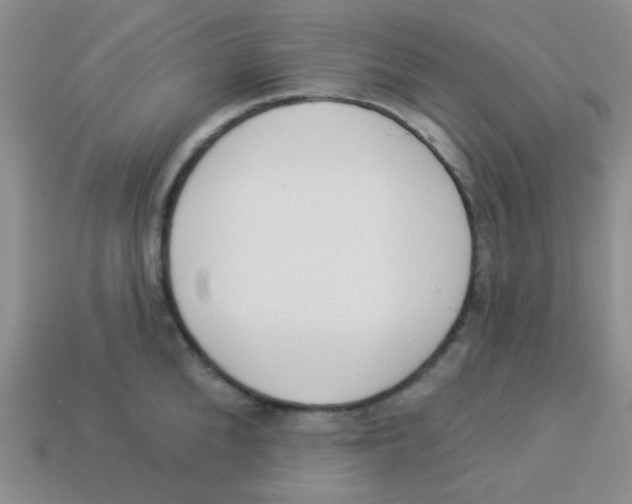 X0000113360904200910131258