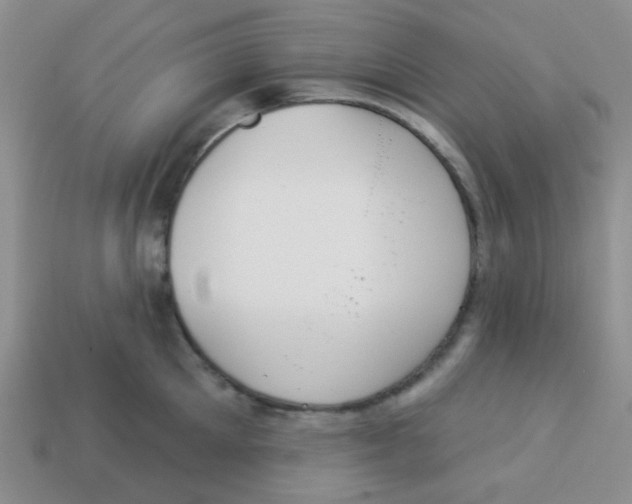 X0000113360905200910131257