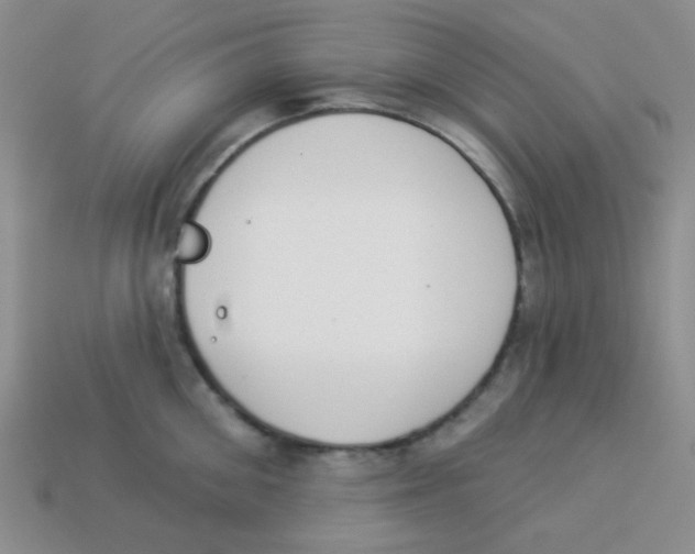 X0000113360906200910131257