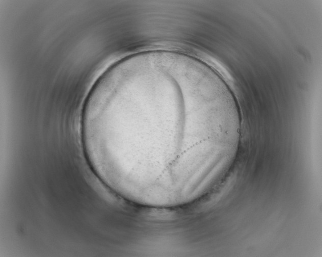 X0000113360907200910131257