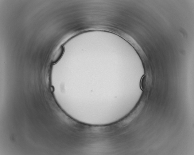 X0000113360908200910131257