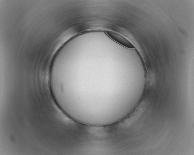 X0000113360909200910131257