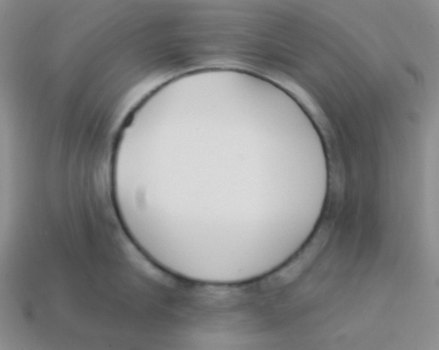 X0000113360910200910131257