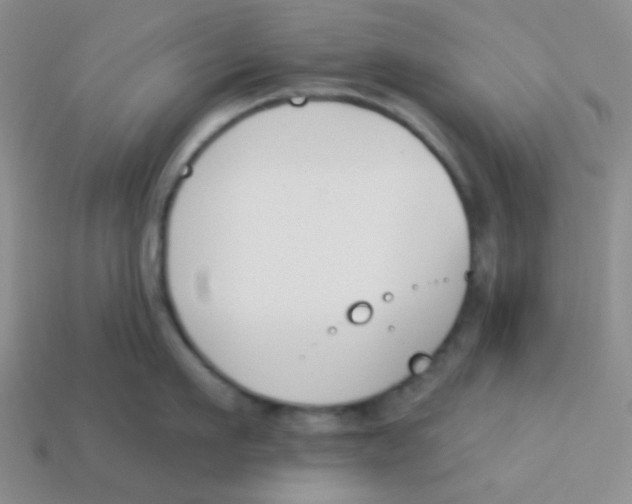 X0000113360911200910131257